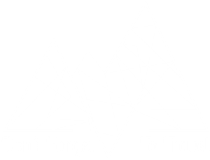 Logo DFTT_White